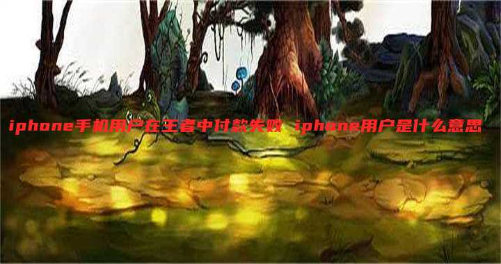 iphone手机用户在王者中付款失败 iphone用户是什么意思