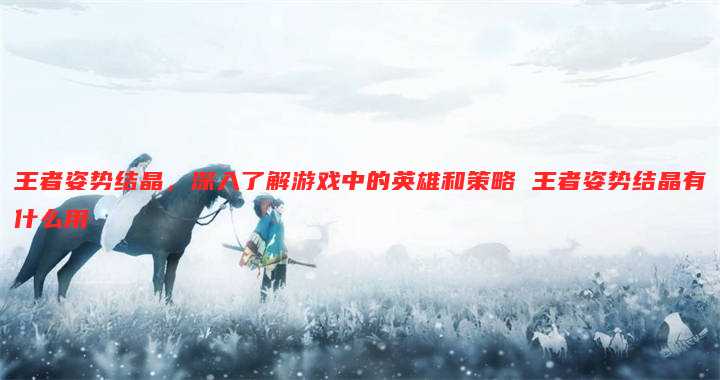 王者姿势结晶,深入了解游戏中的英雄和策略 王者姿势结晶有什么用