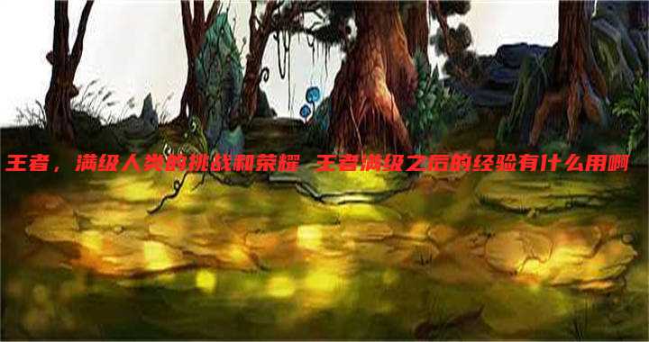 王者,满级人类的挑战和荣耀 王者满级之后的经验有什么用啊