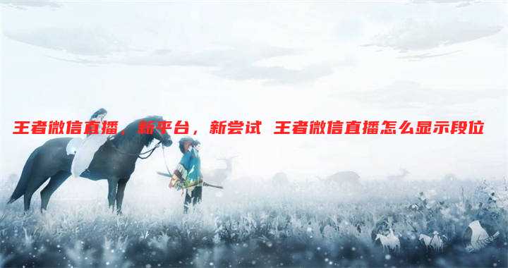王者微信直播，新平台，新尝试 王者微信直播怎么显示段位