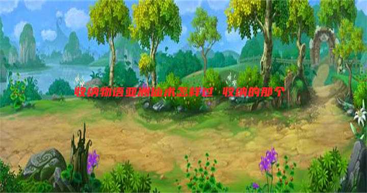 收纳物语亚洲仙术怎样过 收纳的那个