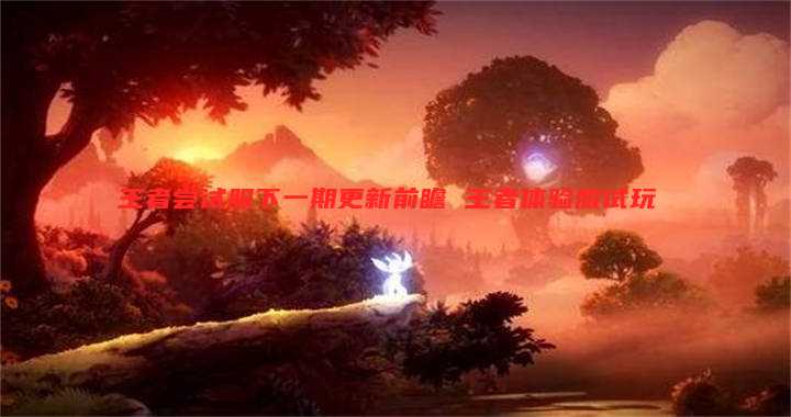 王者尝试服下一期更新前瞻 王者体验服试玩