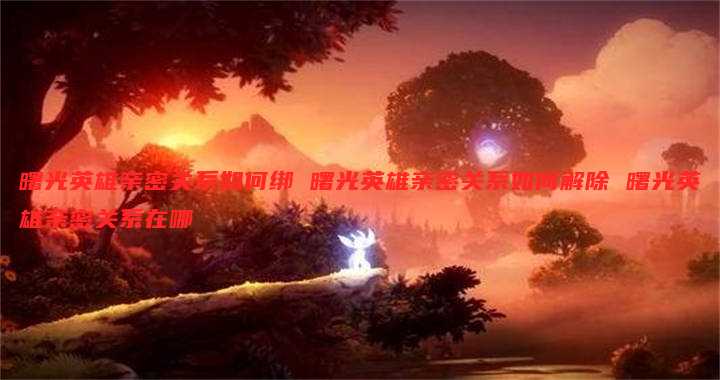 曙光英雄亲密关系如何绑 曙光英雄亲密关系如何解除 曙光英雄亲密关系在哪