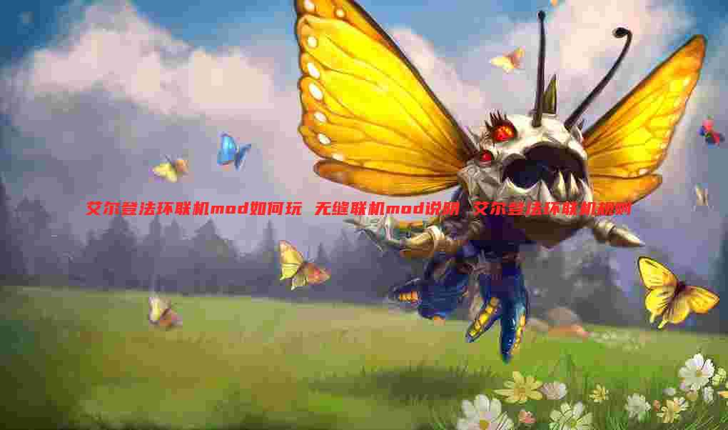 艾尔登法环联机mod如何玩 无缝联机mod说明 艾尔登法环联机规则