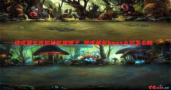 卧虎藏龙连招技能是啥子 卧虎藏龙boss大招怎么放