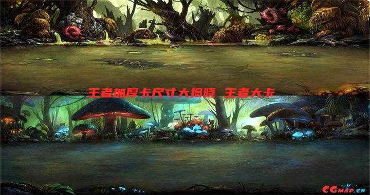 王者加厚卡尺寸大揭晓 王者大卡