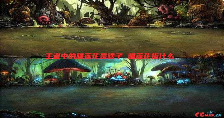 王者中的睡莲花是啥子 睡莲花指什么