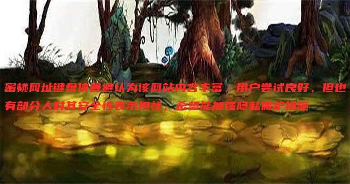 蜜桃网址键盘侠普遍认为该网站内容丰富,用户尝试良好,但也有部分人对其安全性表示担忧,希望能加强隐私保护措施