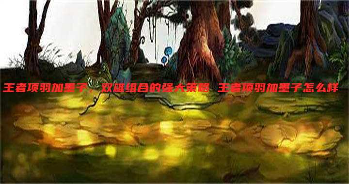 王者项羽加墨子,双雄组合的强大策略 王者项羽加墨子怎么样