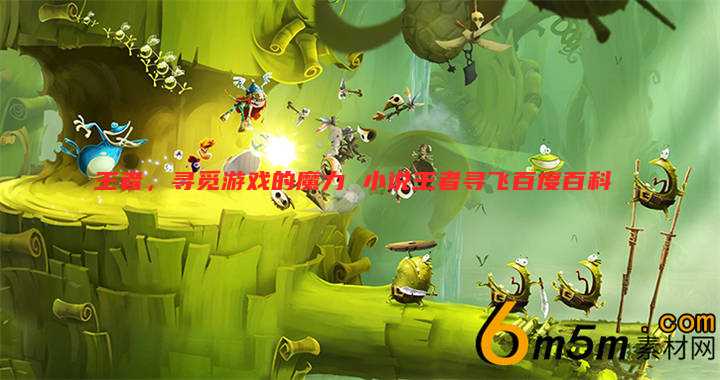 王者，寻觅游戏的魔力 小说王者寻飞百度百科