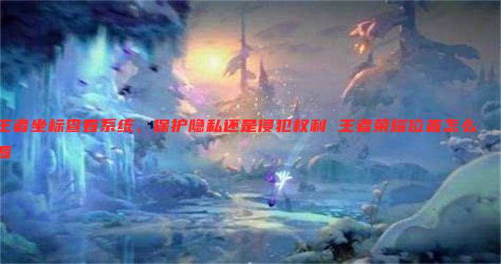 王者坐标查看系统,保护隐私还是侵犯权利 王者荣耀位置怎么看